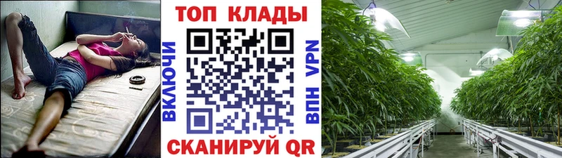 Купить Болгар Конопля  Кокаин  Псилоцибиновые грибы  А ПВП  Меф мяу мяу  Гашиш 