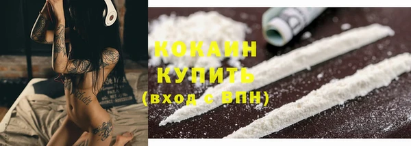 первитин Богданович