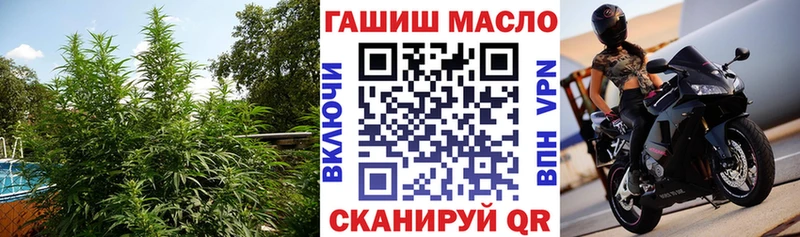 ТГК концентрат Болгар
