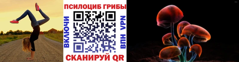 наркота  Болгар  Галлюциногенные грибы MAGIC MUSHROOMS 